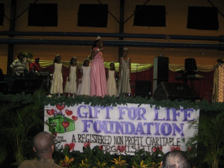 Our Little Angels perform